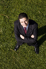 Image showing Businessman in the grass