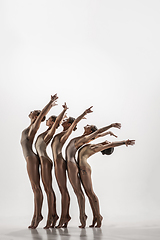 Image showing The group of modern ballet dancers. Contemporary art ballet. Young flexible athletic men and women.