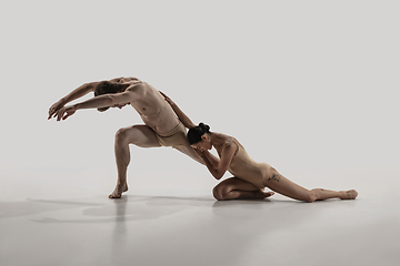 Image showing The group of modern ballet dancers. Contemporary art ballet. Young flexible athletic men and women.