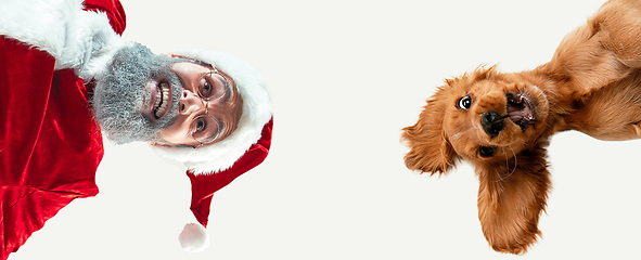 Image showing Happy Christmas Santa Claus with little doggy on studio background