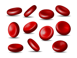 Image showing Red blood cells. Set of erythrocytes in various positions isolated on a white background.