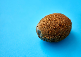 Image showing close up of ripe coconut on blue background