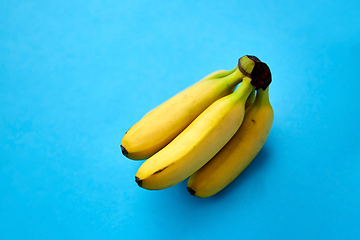 Image showing close up of ripe banana bunch on blue background