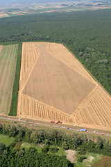 Image showing Golden Wheat field, Aerial View