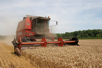 Image showing Combine harvesting wheat