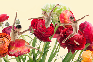 Image showing The group of modern ballet dancers. Contemporary art ballet