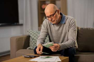 Image showing senior man counting money at home