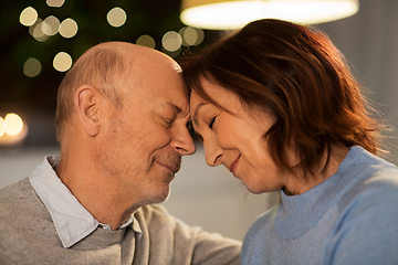 Image showing happy smiling senior couple at home