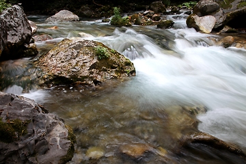 Image showing Crni Drim River in Macedonia