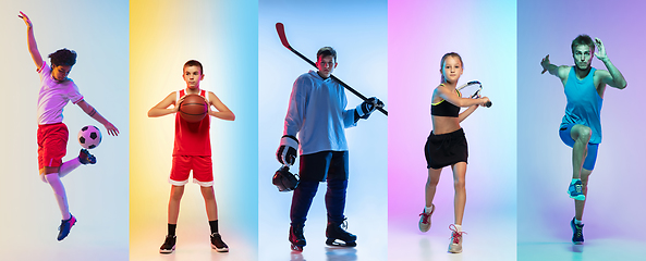 Image showing Collage of different professional sportsmen, fit people in actio