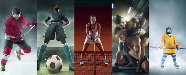 Image showing Collage of different professional sportsmen, fit people in actio