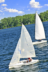 Image showing Small sailboats