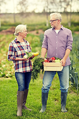 Image showing senior couple with box of vegetables on farm