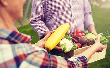 Image showing senior couple with box of vegetables on farm