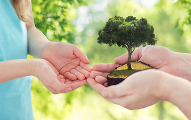 Image showing close up of father's and girl's hands holding tree