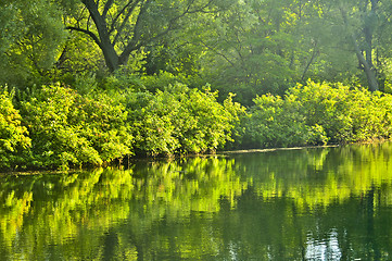 Image showing Green reflections in water