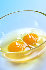 Image showing Eggs in a bowl