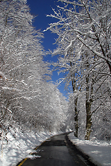 Image showing Winter landscape trees under snow