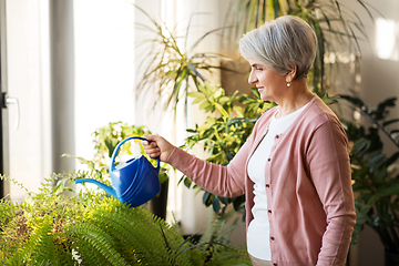 Image showing senior woman watering houseplants at home