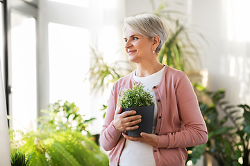 Image showing happy senior woman with flower in pot at home