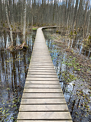 Image showing wooden footbridge through the lake nature trail