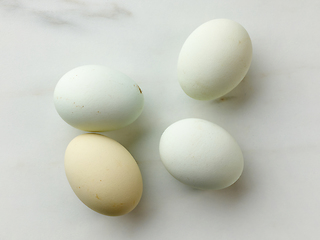 Image showing fresh raw bio eggs