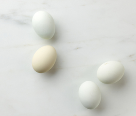 Image showing fresh raw bio eggs