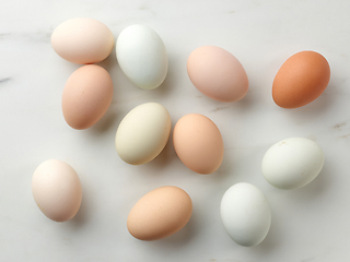 Image showing fresh raw bio eggs