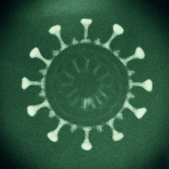 Image showing covid 19 corona virus microscope