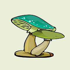 Image showing green color mushroom