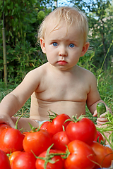 Image showing baby eats ripe tomatoes