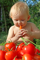 Image showing baby eats carrot and ripe tomatoes