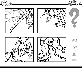 Image showing guess insects coloring page