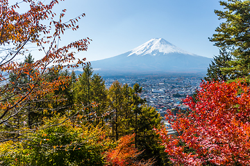 Image showing Mountain Fuji and maple in Autumn season