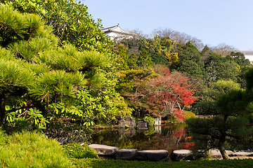Image showing Japanese garden with red maple