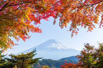 Image showing Mt.Fuji in autumn at Lake kawaguchiko