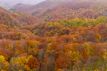 Image showing Autumn landscape