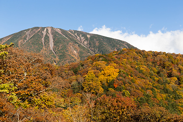 Image showing Autumn in Mount Nantai in Nikko