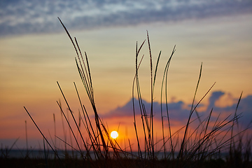 Image showing Sunset over the sea of Azov