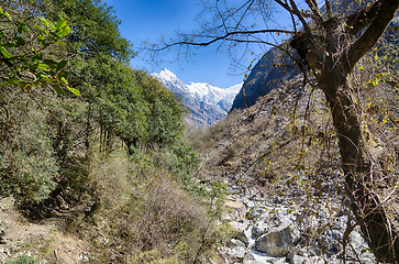 Image showing Nepal trekking in Langtang valley