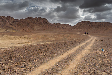 Image showing Trekking in Negev dramatic stone desert, Israel 