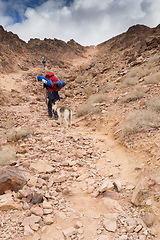 Image showing Trekking in Negev dramatic stone desert, Israel 