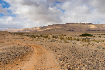 Image showing Trekking in Negev dramatic stone desert, Israel 