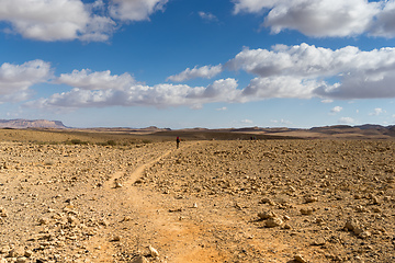 Image showing Trekking in Negev dramatic stone desert, Israel 