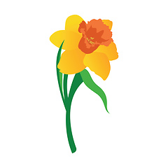 Image showing Vector illustration of orange and yellow daffodil flower with gr