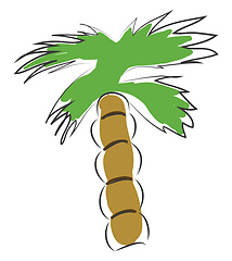 Image showing Palm tree vector illustration on white background 