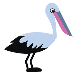 Image showing Water bird pelican with a colorful long beak vector color drawin