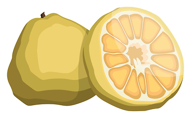 Image showing Vector illustration of yellow ugly fruit half a fruit yellow wit