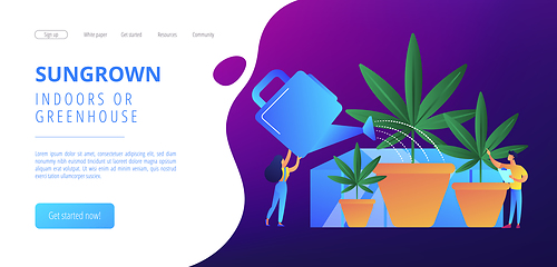 Image showing Cannabis cultivation concept landing page.