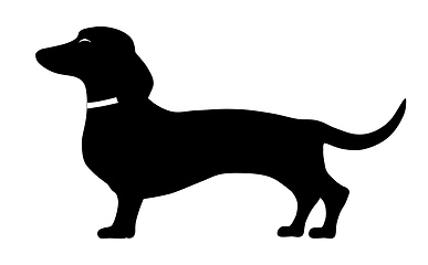 Image showing dachshund standing side pose